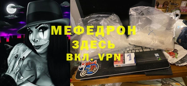 стаф Аркадак